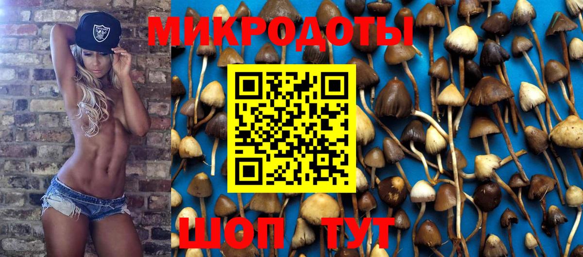 Псилоцибиновые грибы мухоморы  Галлюциногенные грибы мицелий  Вход с VPN  Волгодонск 