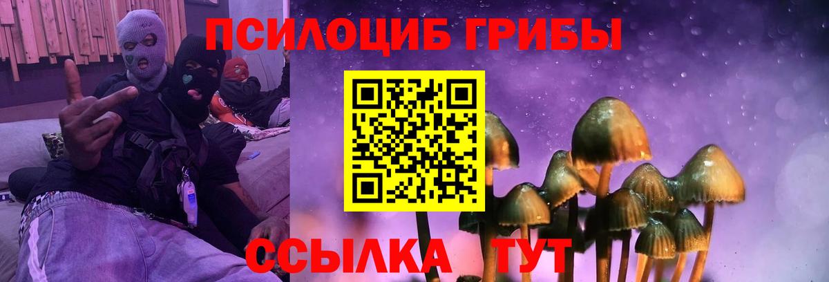 Псилоцибиновые грибы Psilocybine cubensis Волгодонск
